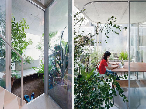 Jardim interno: natureza dentro de casa