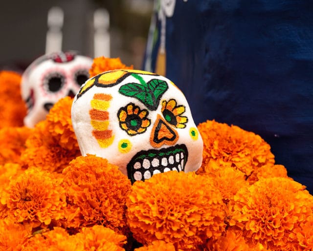 tagetes laranjas em celebração dia dos mortos no méxico