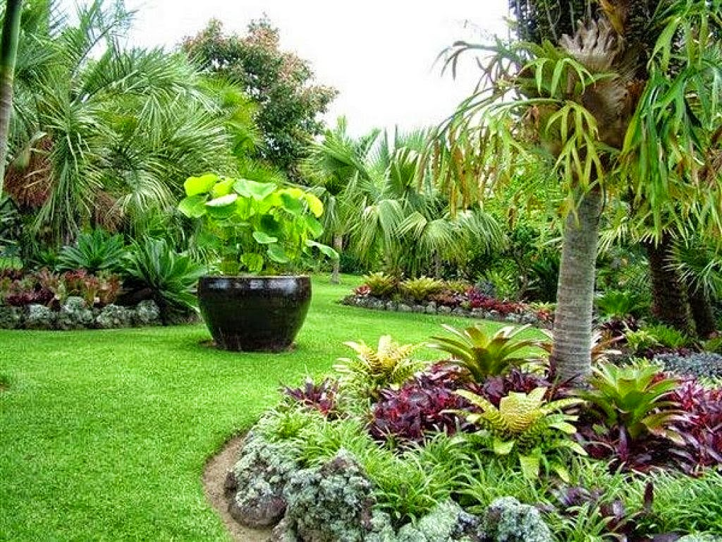 jardim grande estilo tropical