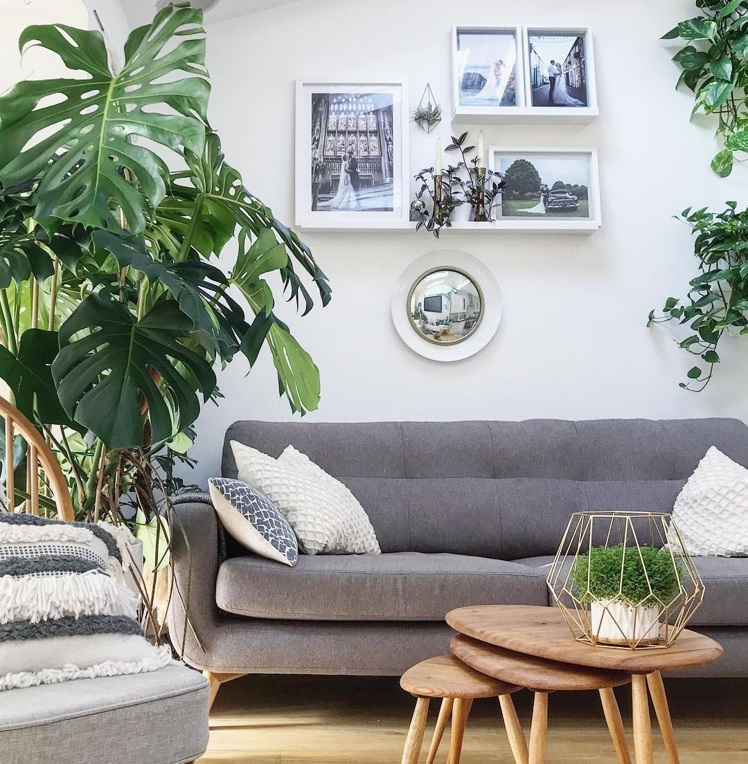 sala de estar com plantas