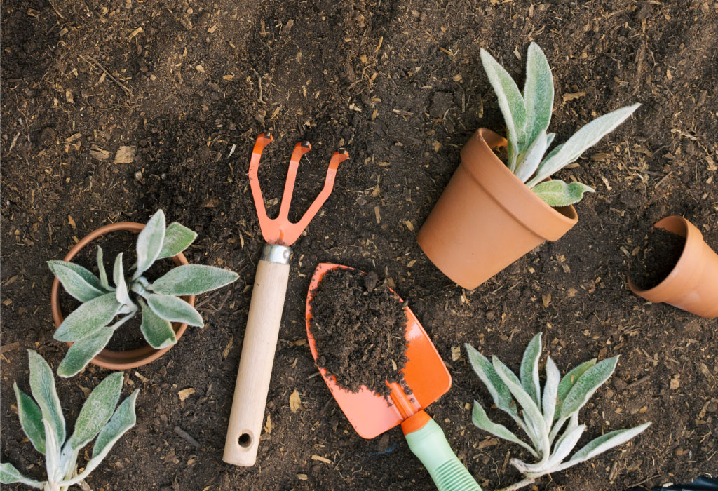 10 ferramentas para seu jardim ficar sempre florido e bem cuidado; lista certeira e acessível