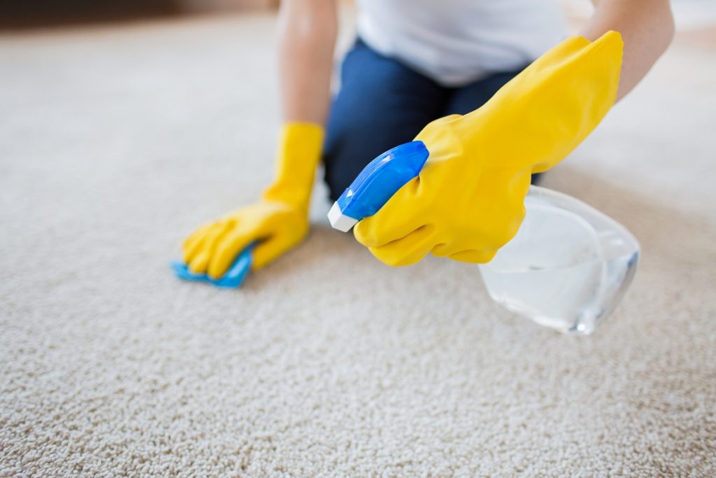 O passo a passo CORRETO para limpar seu carpete; siga dessa forma para ter resultado