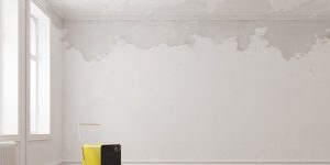 5 dicas para limpar umidade da parede; entenda de UMA VEZ POR TODAS o que você deve fazer