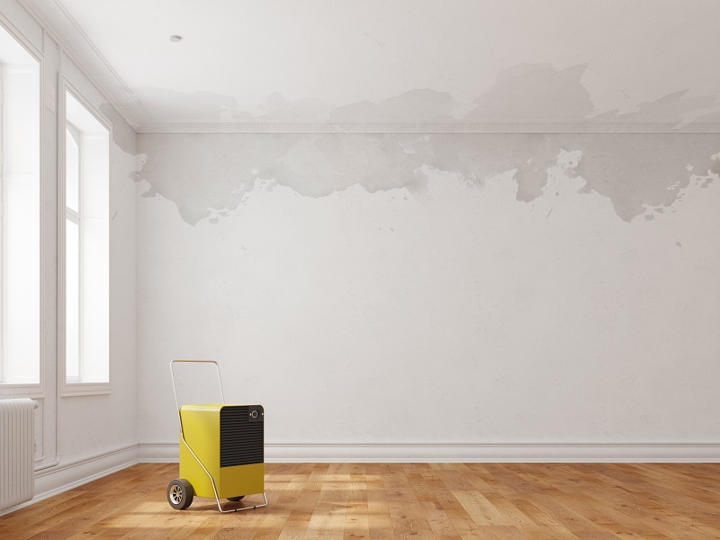 5 dicas para limpar umidade da parede; entenda de UMA VEZ POR TODAS o que você deve fazer