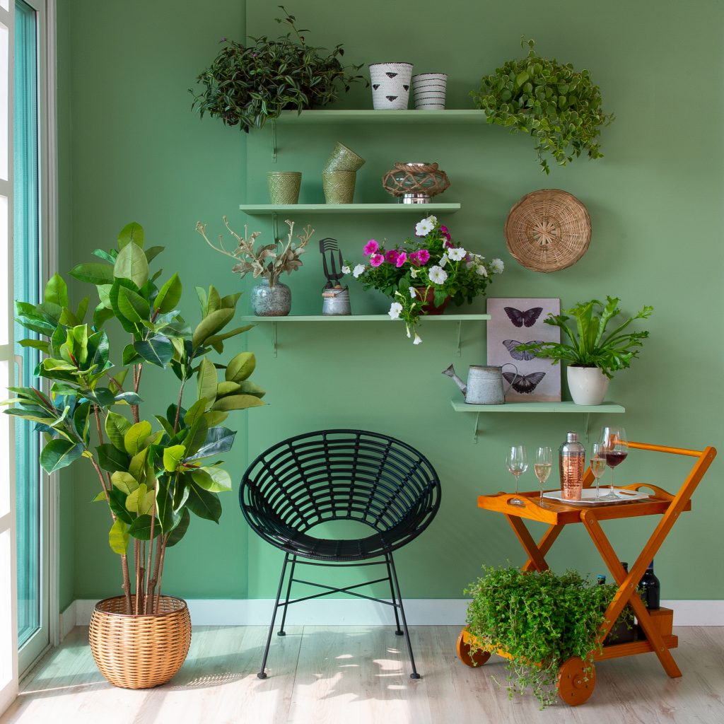 parede verde e plantas na decoração