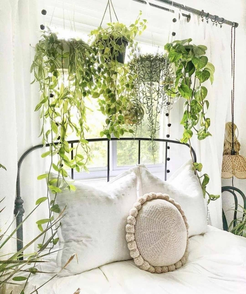 plantas na cabeceira da cama