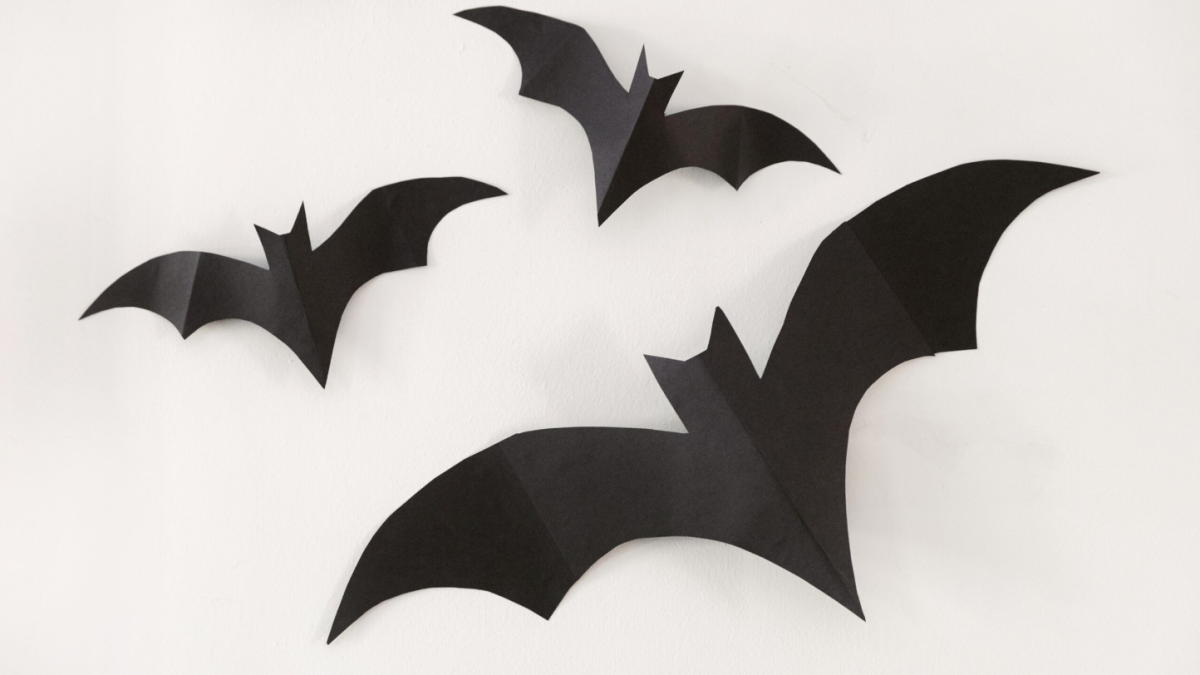 Halloween Desenho: Como desenhar um morcego 