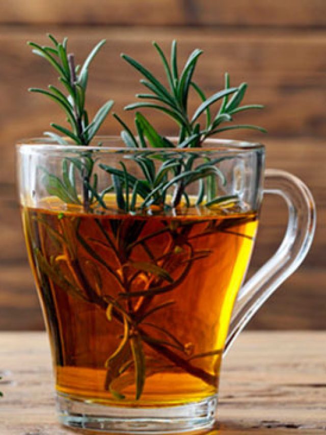 Receita de Chá de Alecrim com Gengibre simples, rápida e cheia de benefícios para a saúde