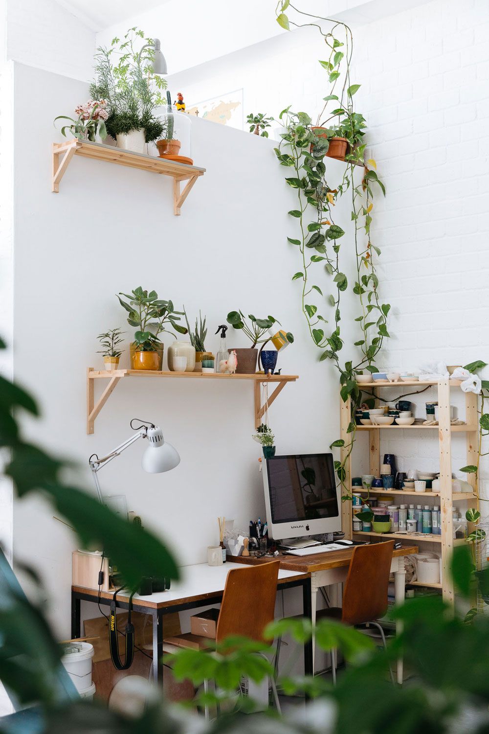 home office com plantas