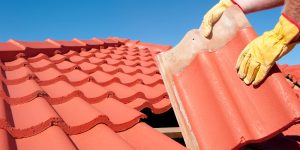 4 dicas para garantir uma boa manutenção do telhado; entenda o que você precisa avaliar