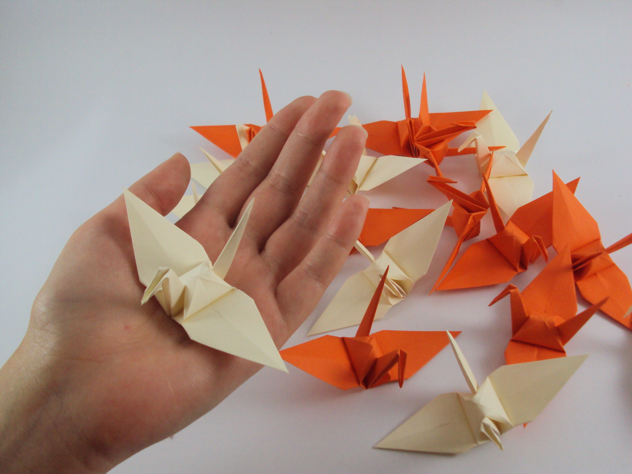 tsuru de origami