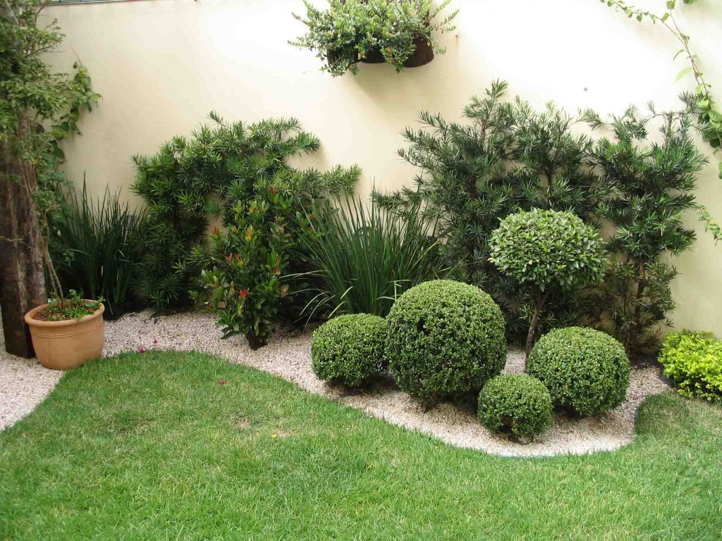 Criando um jardim simples no quintal da sua casa; tutorial com dicas PASSO A PASSO