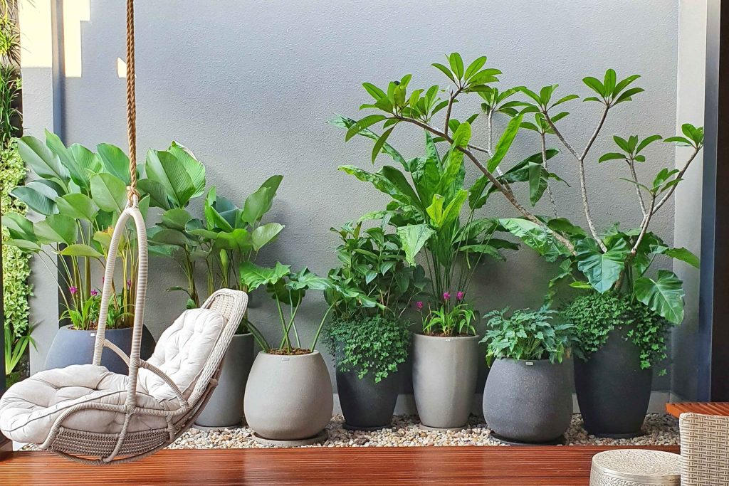 5 dicas para compor plantas para jardim em vasos: veja como deixar o ambiente ainda mais belo