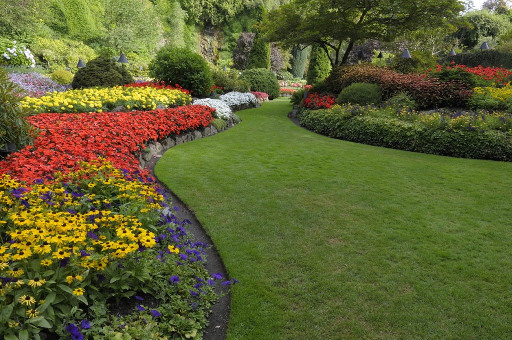 7 dicas para ter um jardim encantador: descubra os SEGREDOS que os paisagistas não querem te contar