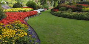 7 dicas para ter um jardim encantador: descubra os SEGREDOS que os paisagistas não querem te contar