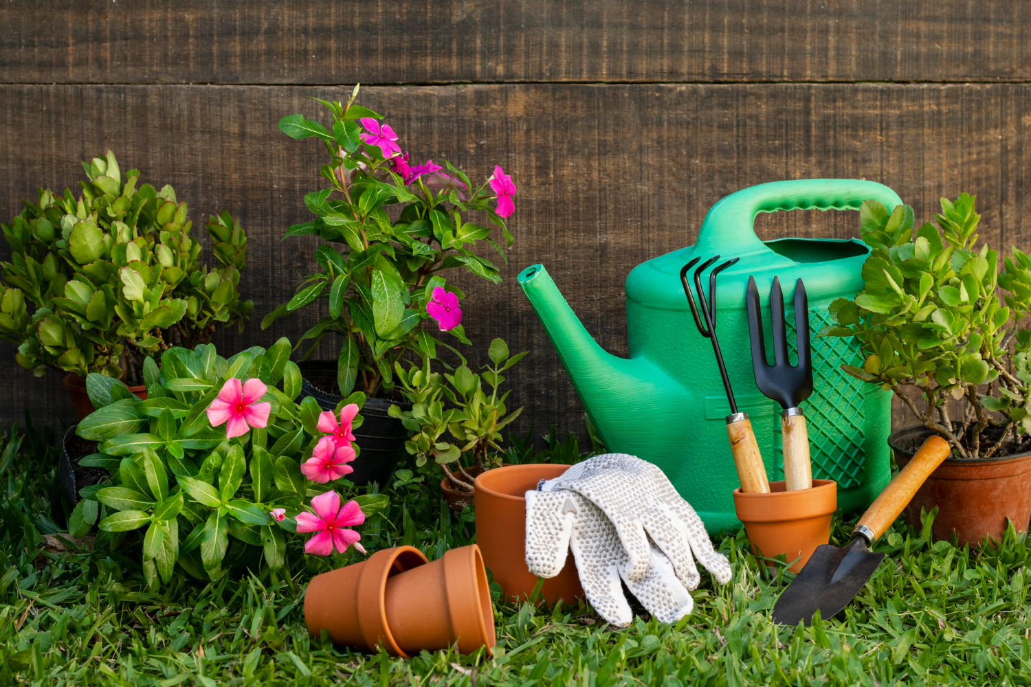 ferramentas para fazer jardim