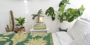 plantas em quarto de casal