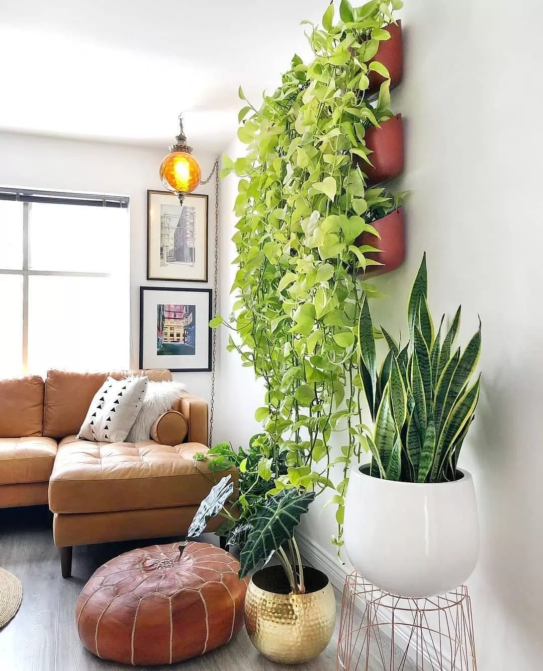 plantas na decoração da sala de estar