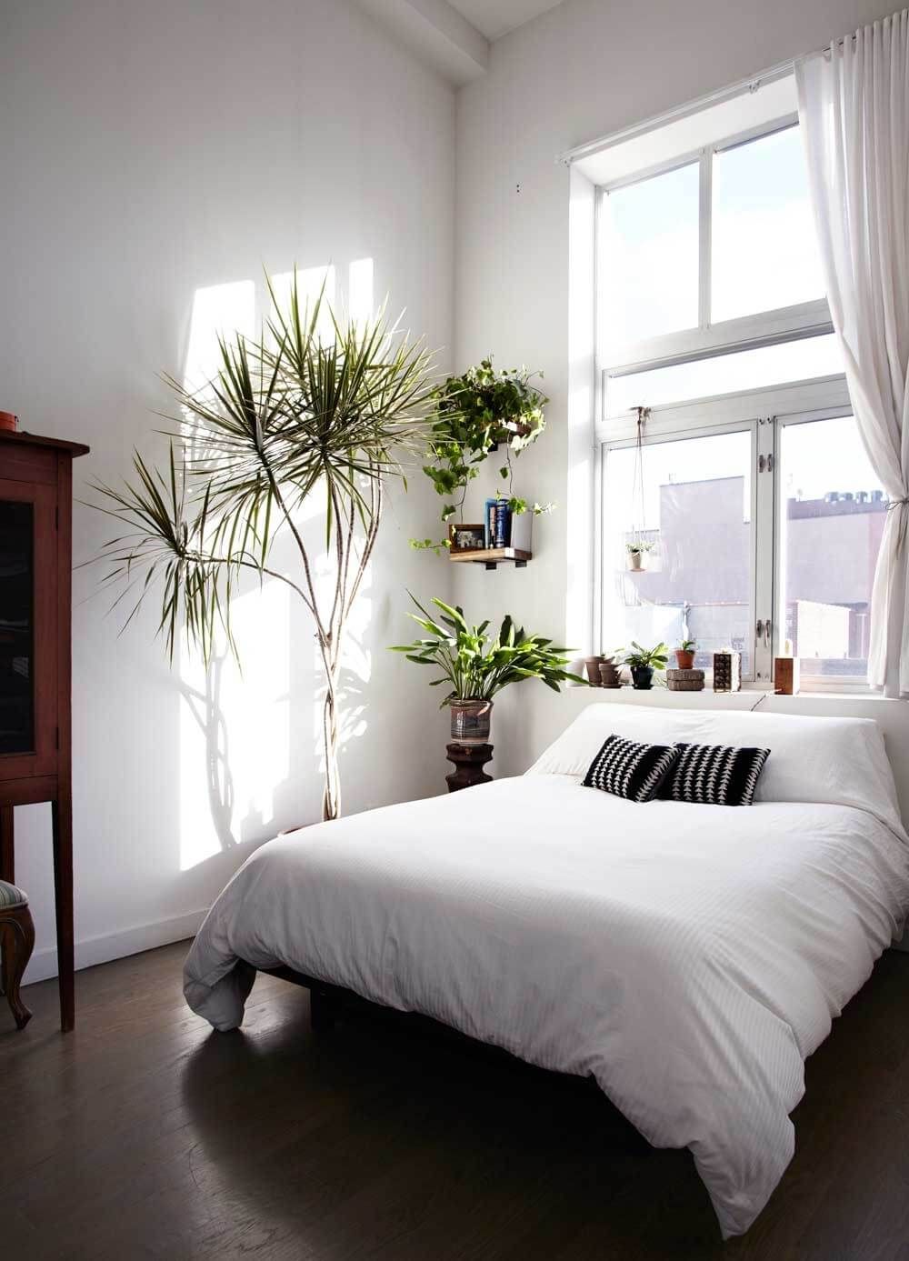 quarto simples com plantas