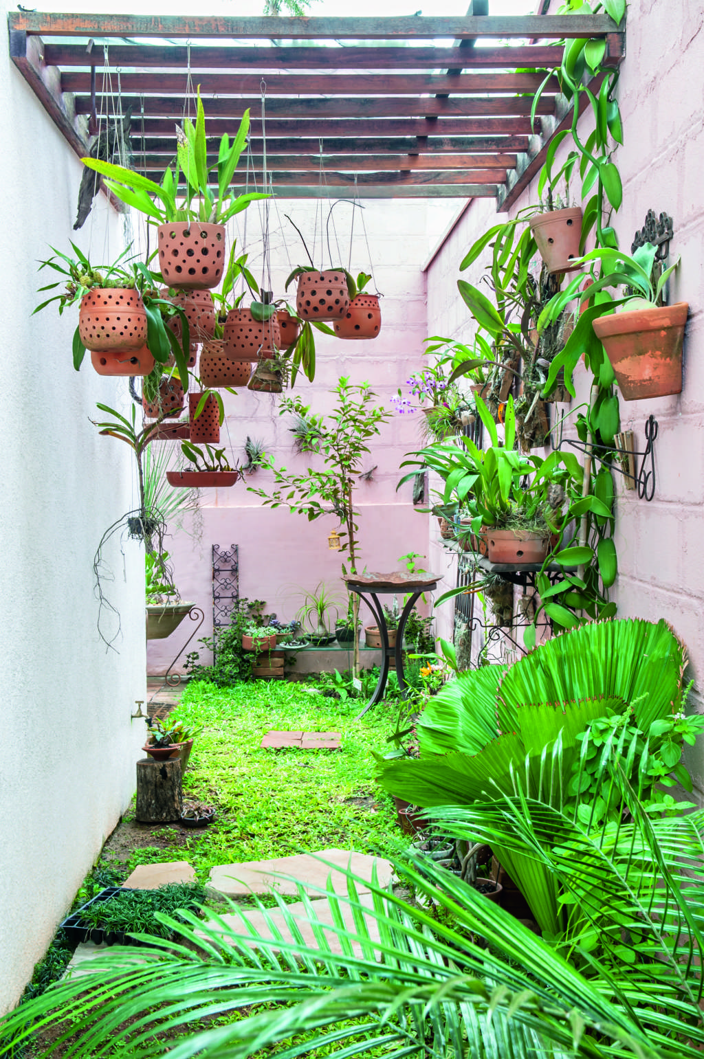 quintal decorado com plantas