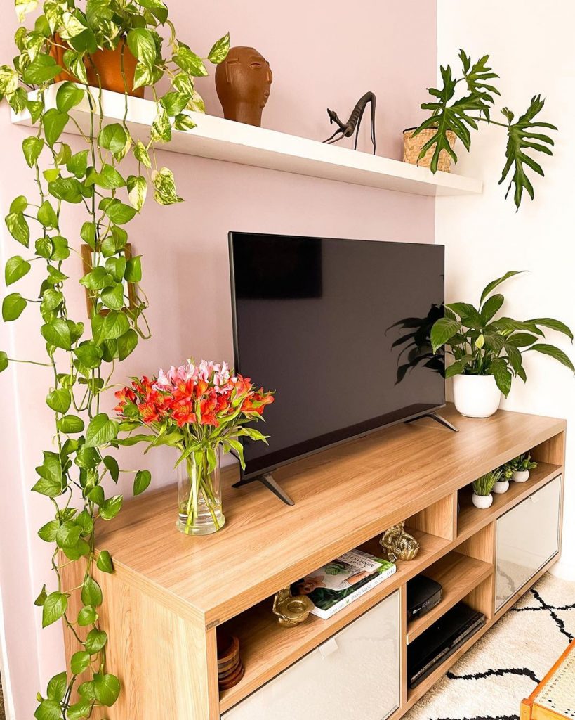 rack para tv com plantas