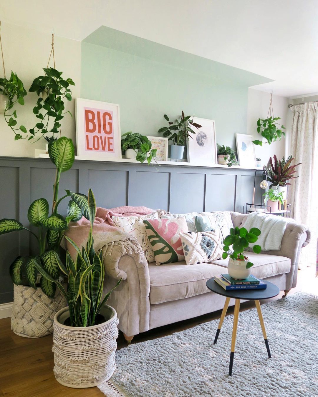 sala de estar com vasos de plantas
