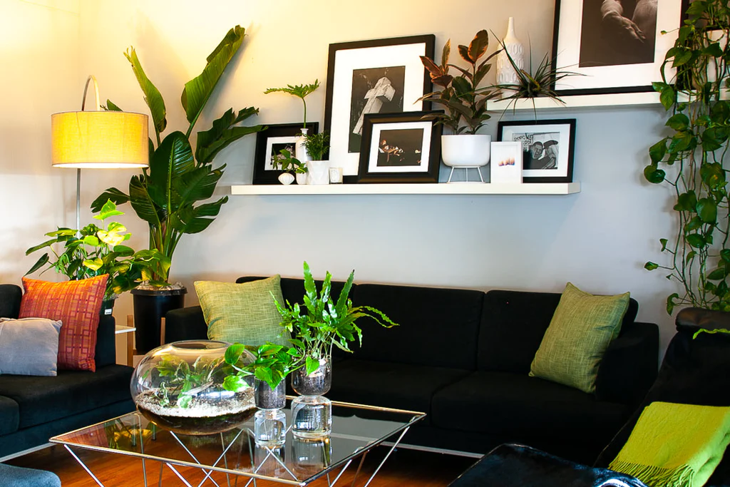 sala de estar decorada com plantas
