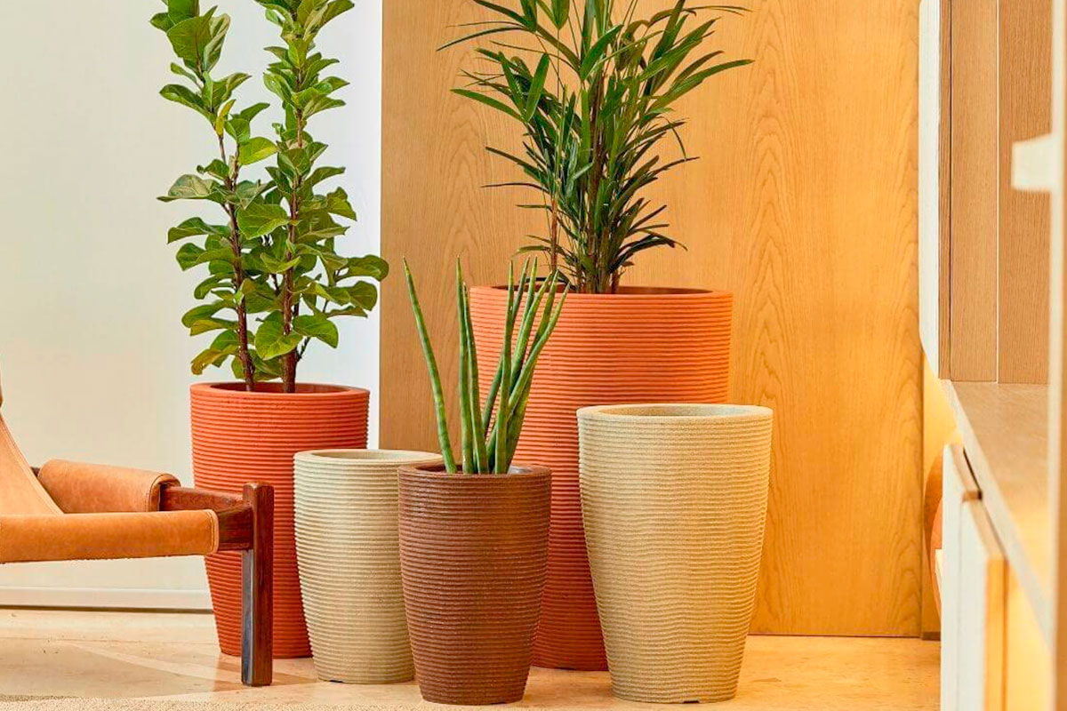 Vasos com plantas para decoração de sala: veja como escolher