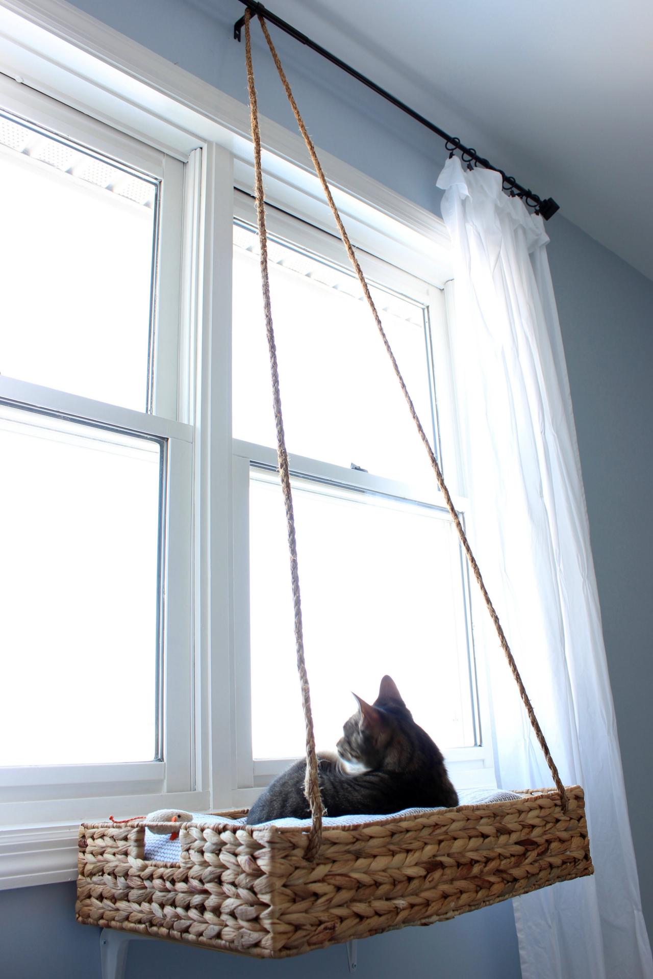 cama de gato pendurado em janela