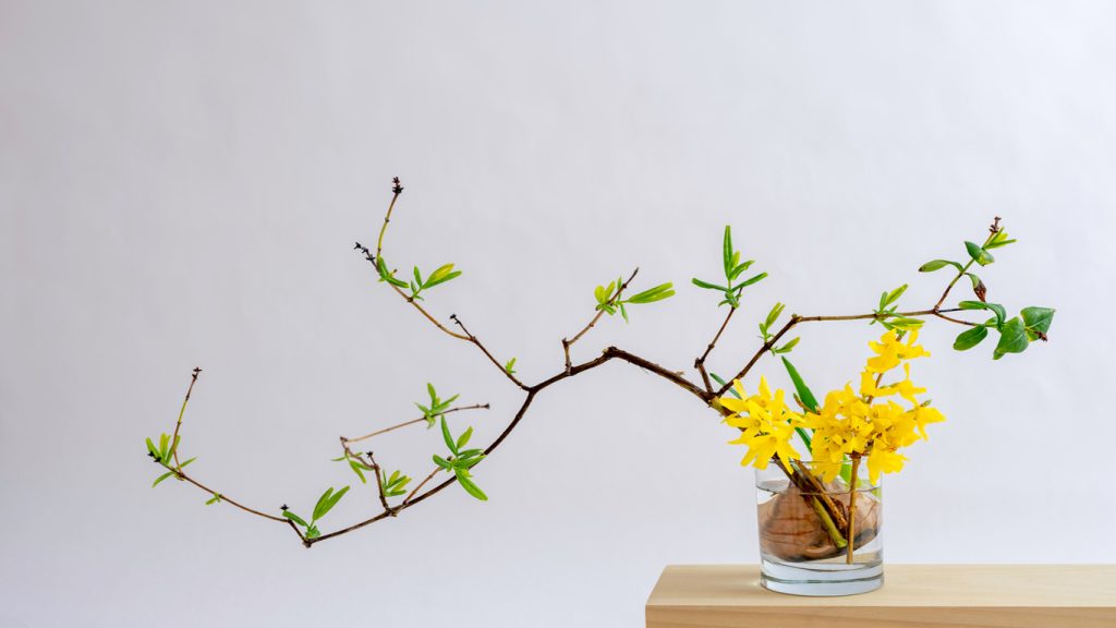 Como fazer ikebana? Aprenda o passo a passo para ter esses arranjos japoneses na decoração