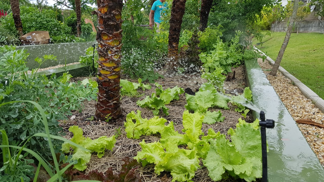 horta com irrigação automática