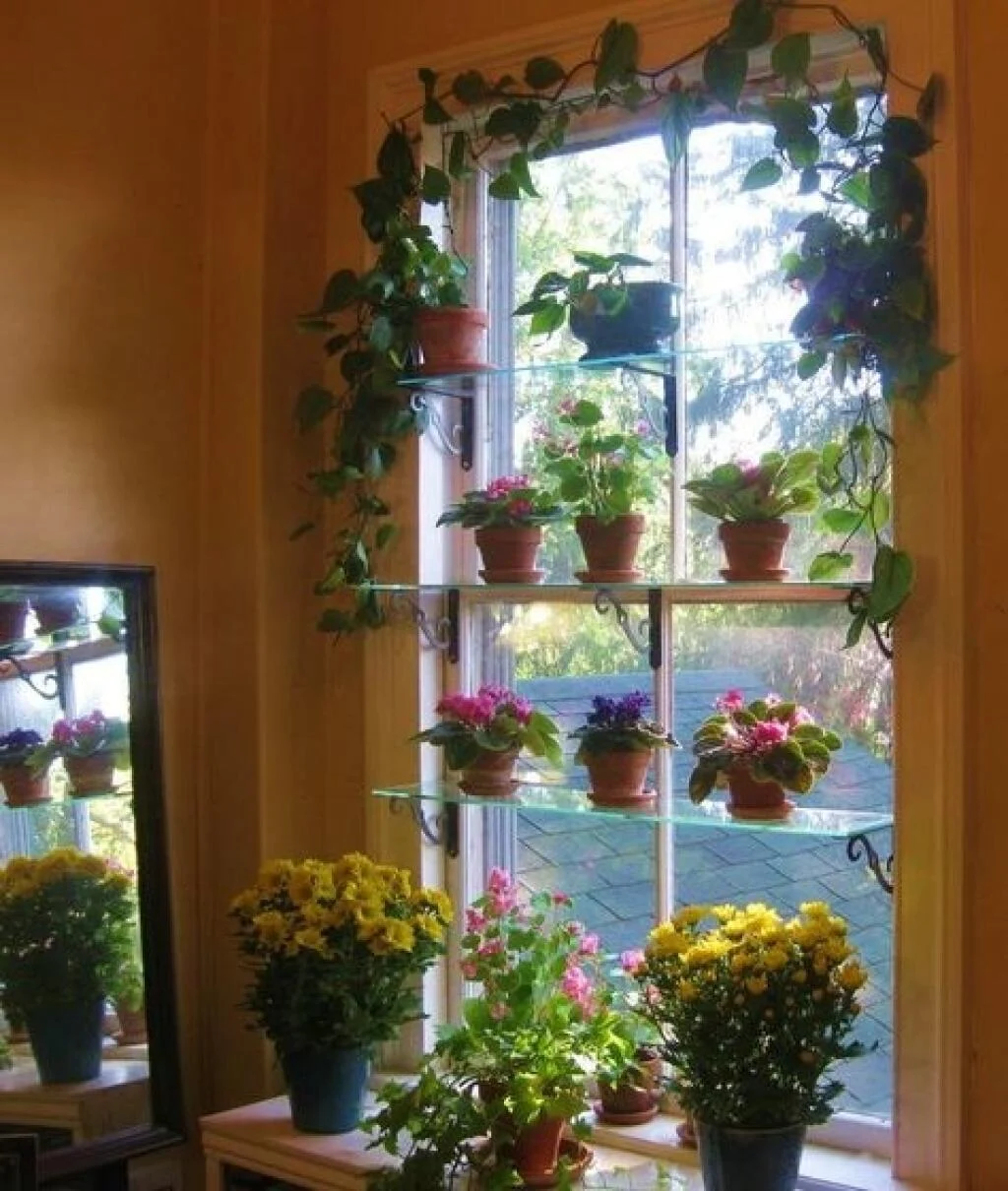 janela com flores dispostas em prateleiras