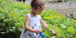 Como criar um jardim estimulante e seguro para as crianças: veja 7 dicas práticas e fáceis de seguir