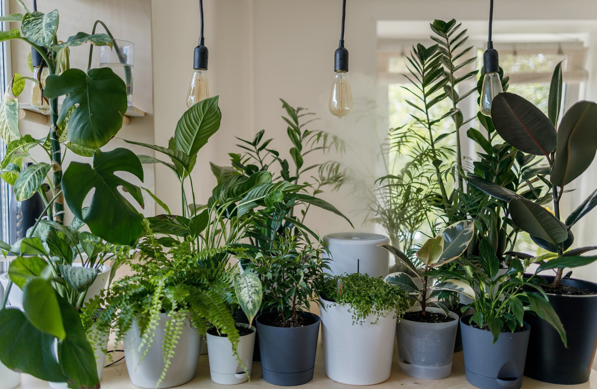 Jardinagem em apartamento: saiba como começar seu próprio jardim mesmo com espaço limitado