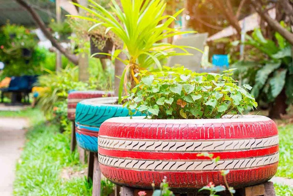 6 dicas para praticar jardinagem sustentável: veja como cultivar suas plantinhas sem prejudicar o meio ambiente