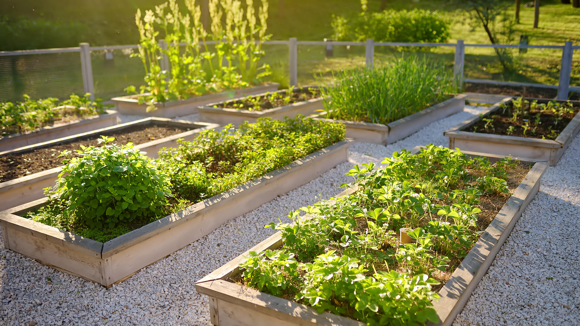 jardinagem sustentável