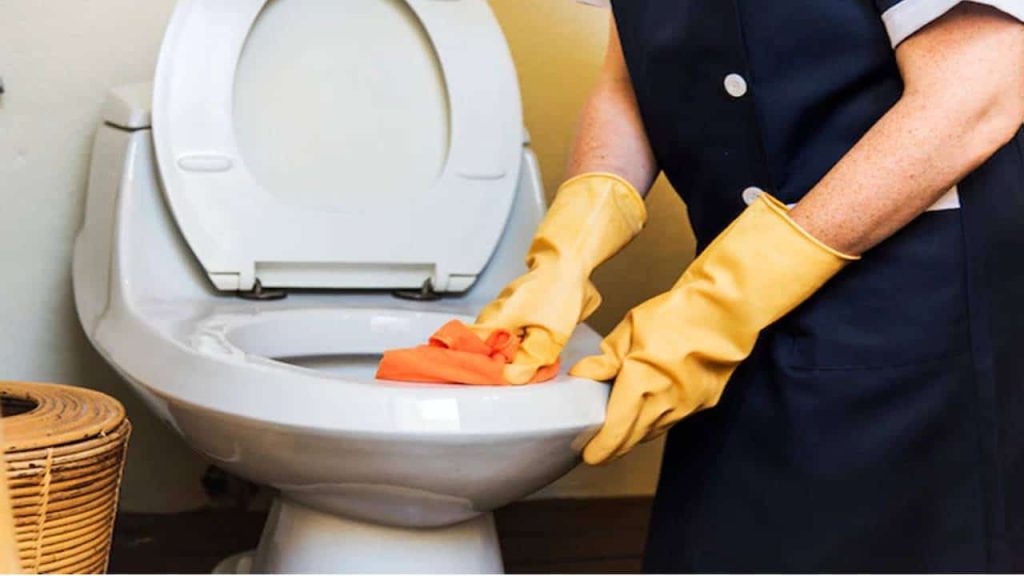 Banheiro limpo e desinfetado: você deve fazer ISTO para garantir a limpeza do vaso sanitário e box