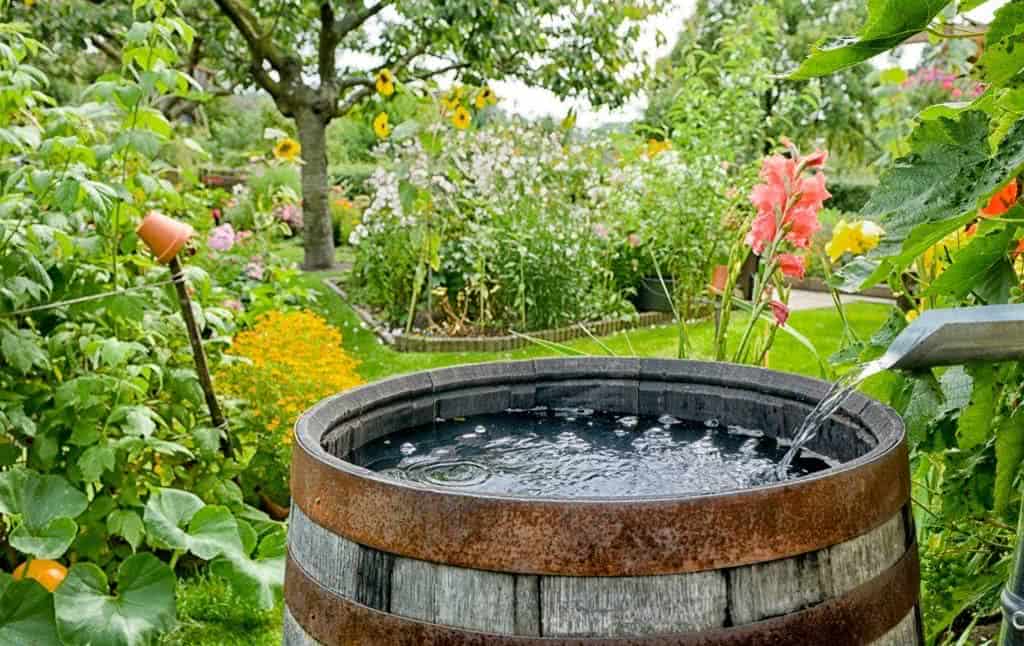 sistema de captação da água da chuva para jardim