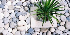 9 tipos de pedras para jardim: confira os prós e contras de cada um para decidir o melhor para seu cantinho