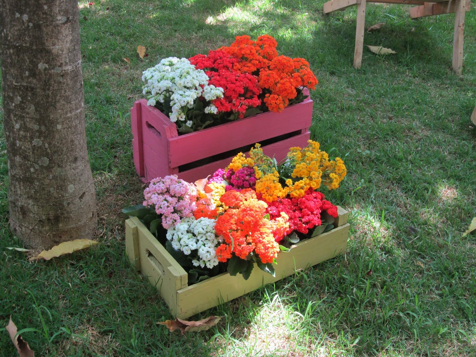 caixotes de madeira com flores