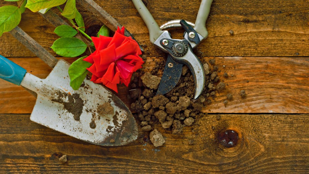 5 dicas para tirar ferrugem das ferramentas de jardinagem: siga essas ideias caseiras para conservá-las