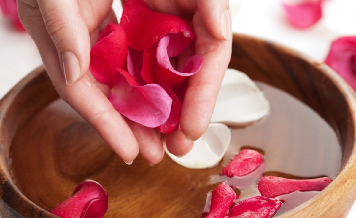 mão segurando pétalas de rosas
