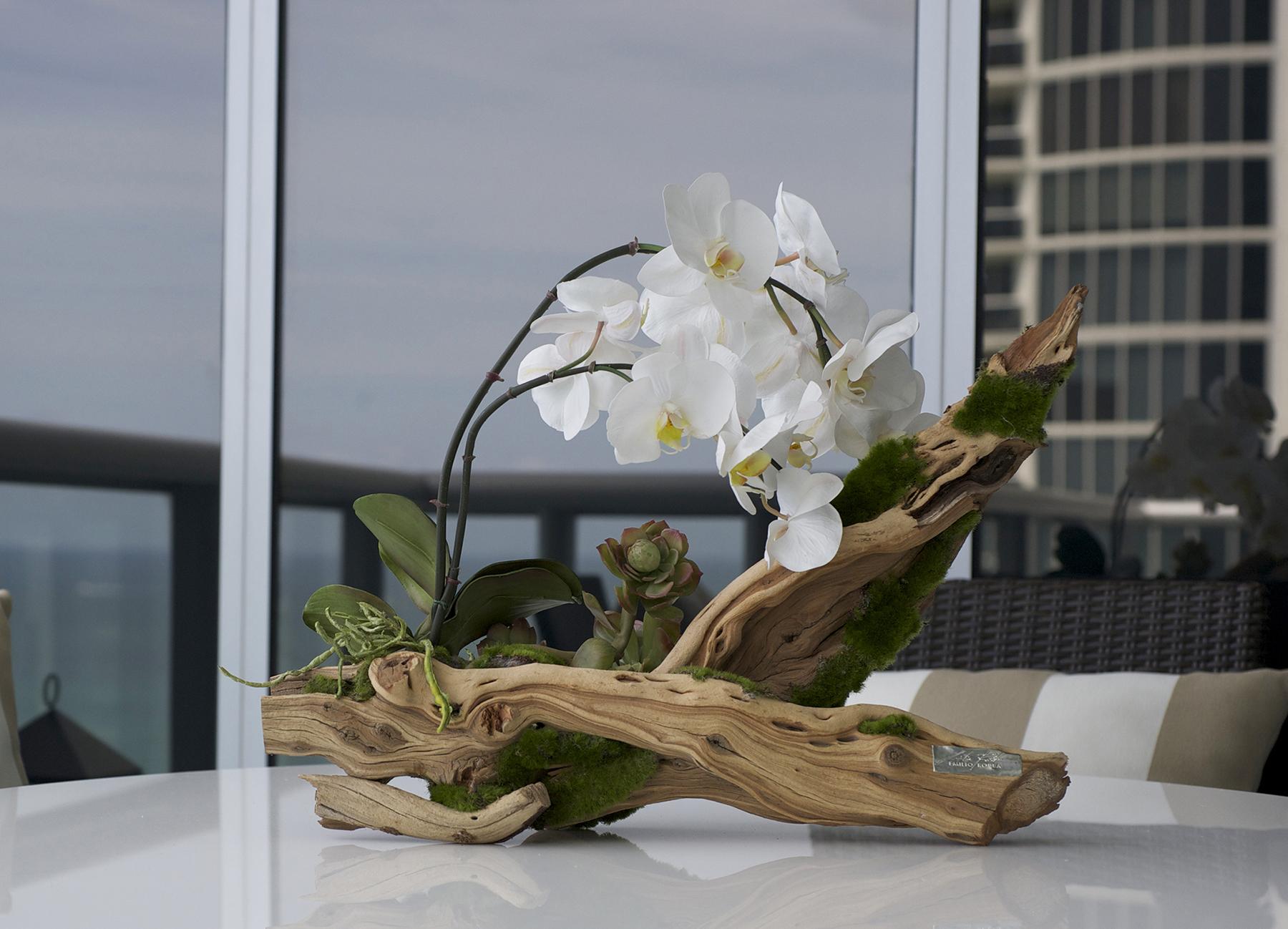 orquídea plantada em tronco