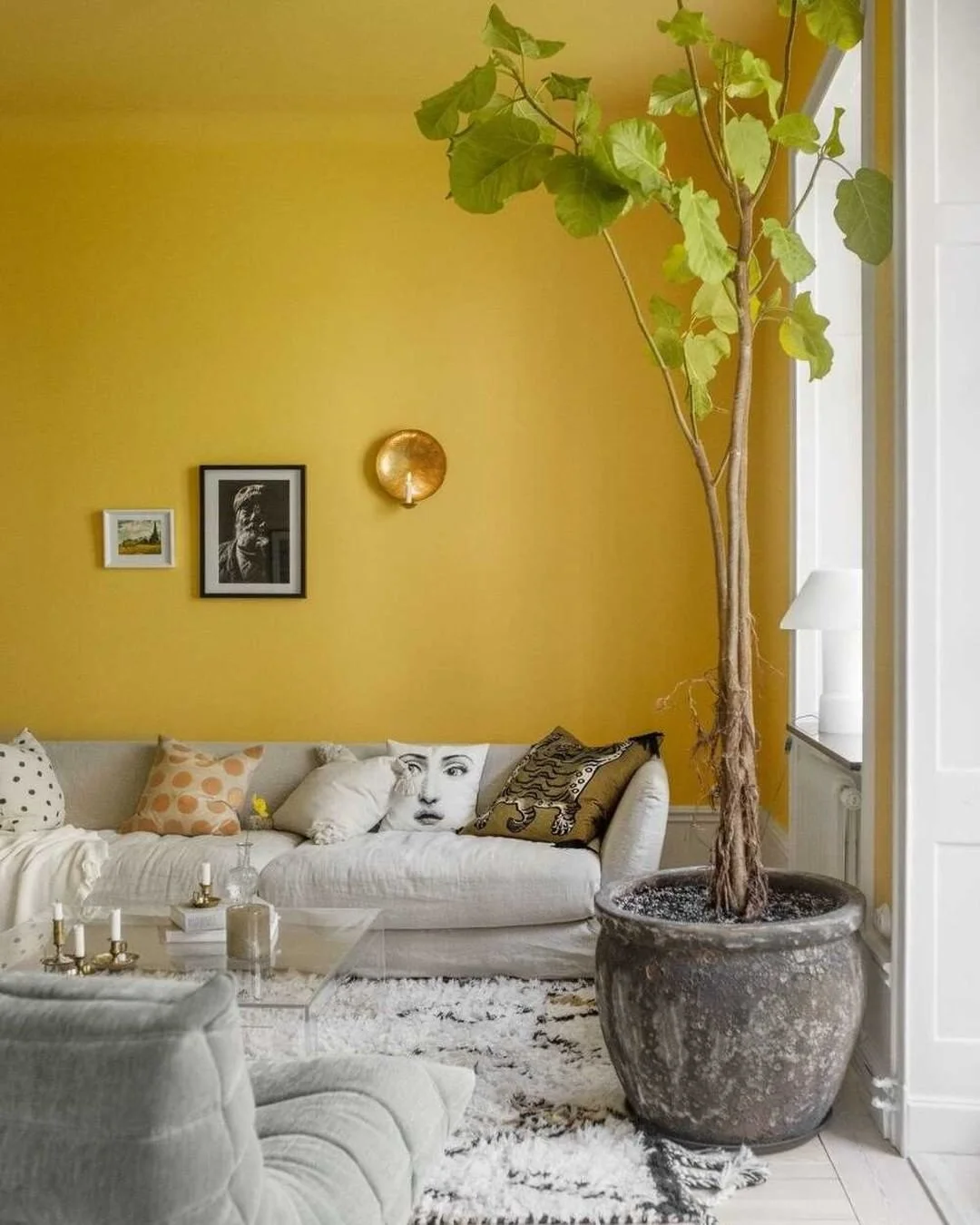 planta em sala de estar com parede amarela