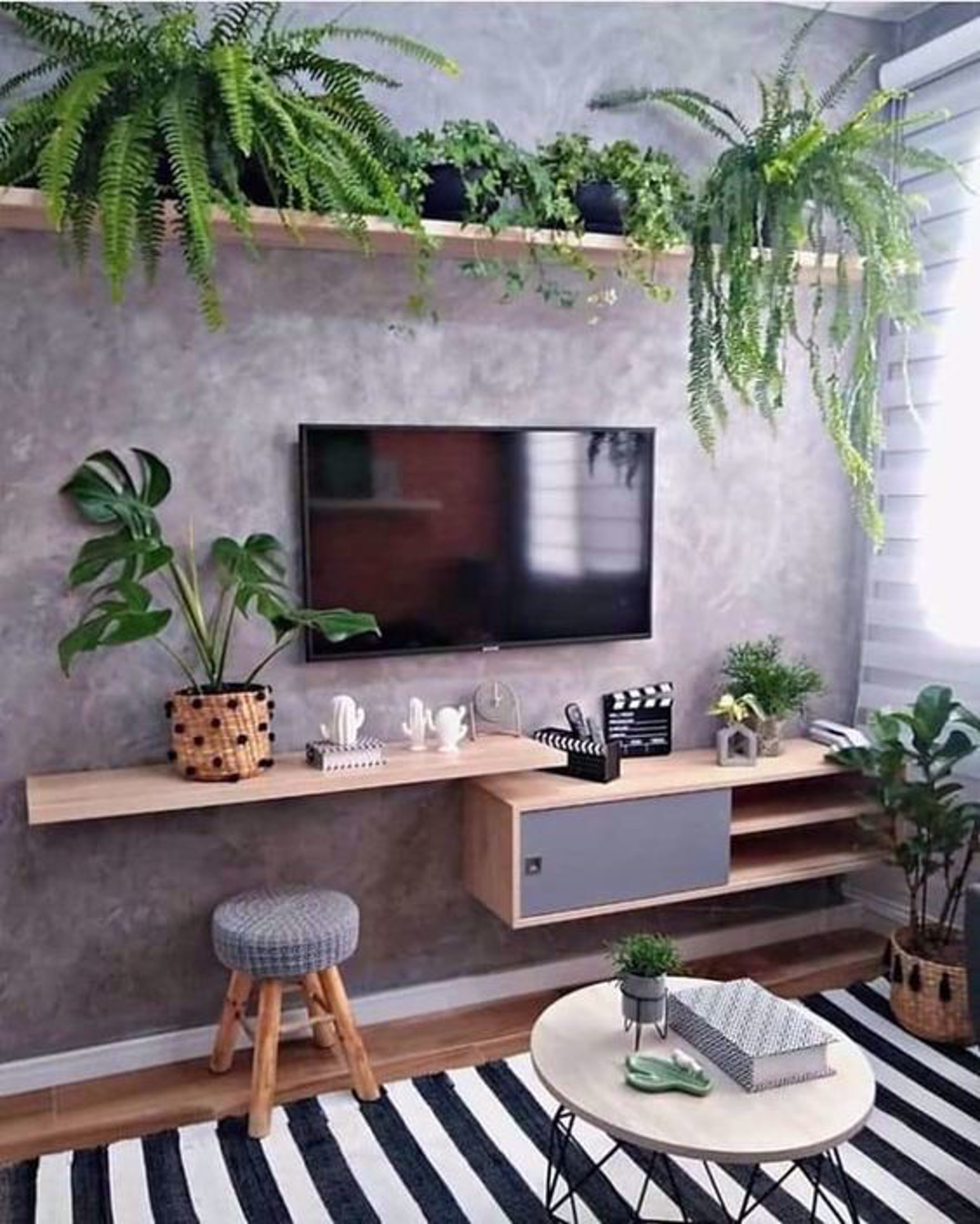 plantas em prateleira em sala com parede cinza