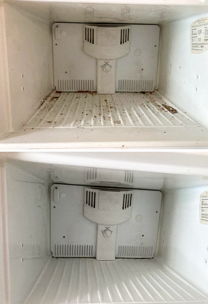 limpeza de freezer e geladeira