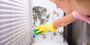 mulher limpando mofo de parede na cozinha
