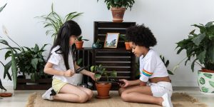 SÃO INOFENSIVAS: Conheça plantas SEGURAS para quem tem criança em casa