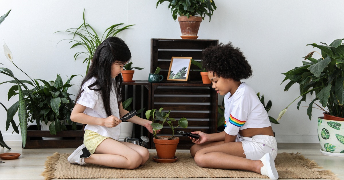 SÃO INOFENSIVAS: Conheça plantas SEGURAS para quem tem criança em casa