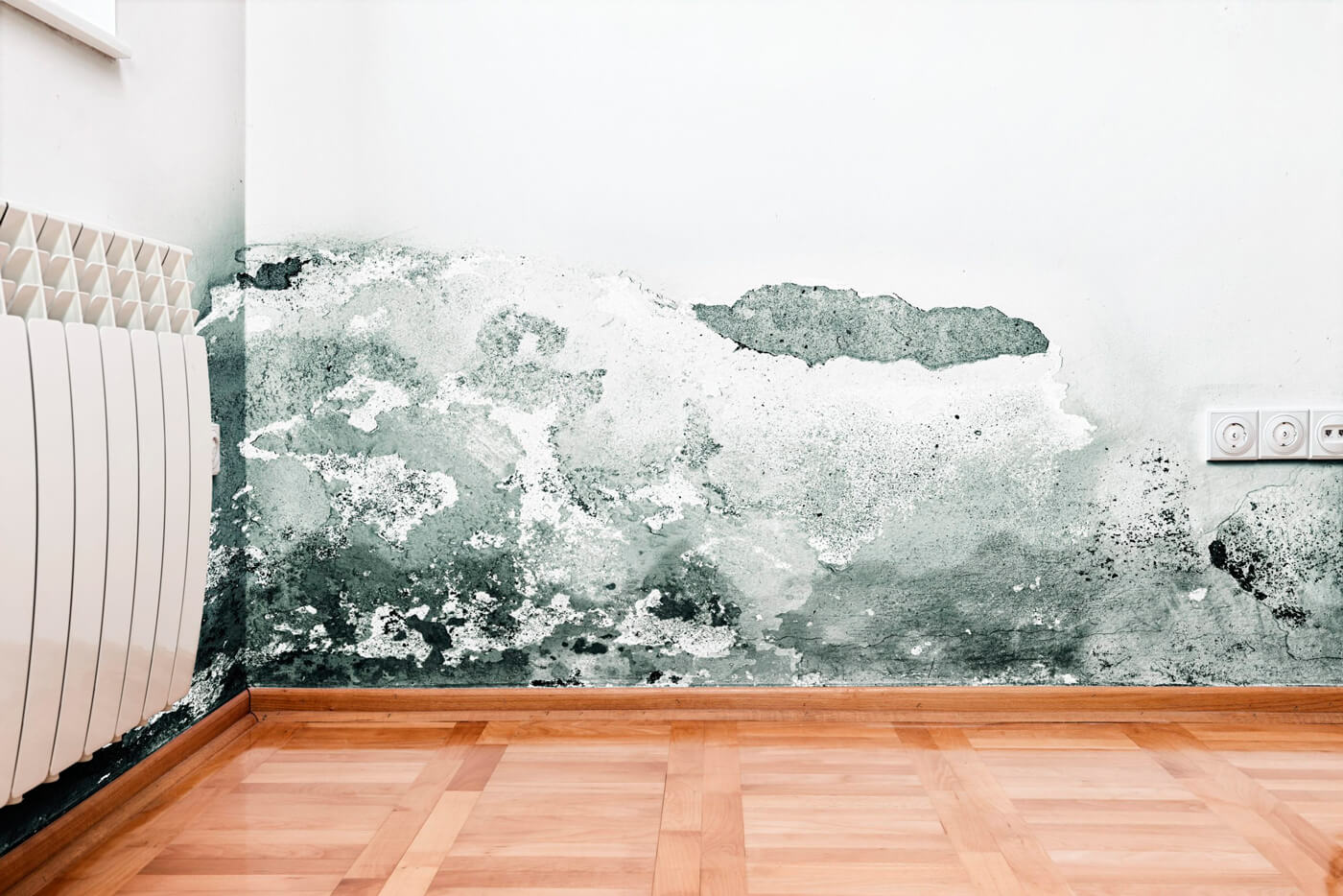 Remova o mofo das paredes FAZENDO ISTO AQUI e mantenha a beleza das cores e texturas